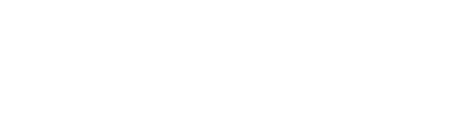 Nerblok